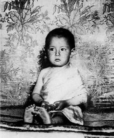 Мой сын Далай-Лама. Рассказ матери