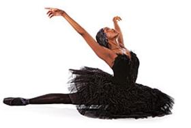 «Черный лебедь. Шедевры мирового балета». Послесловие