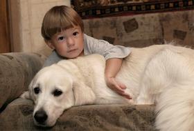 На Южном Урале детей с особенностями развития лечат собаки